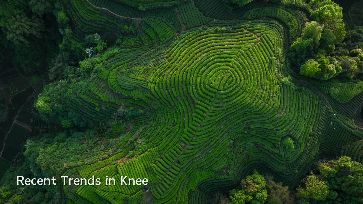 Recent Trends in Knee
