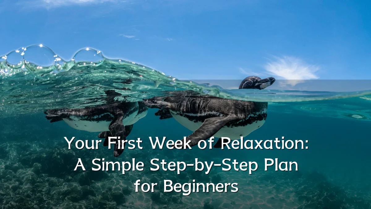 Your First Week of Relaxation: A Simple Step-by-Step Plan for Beginners