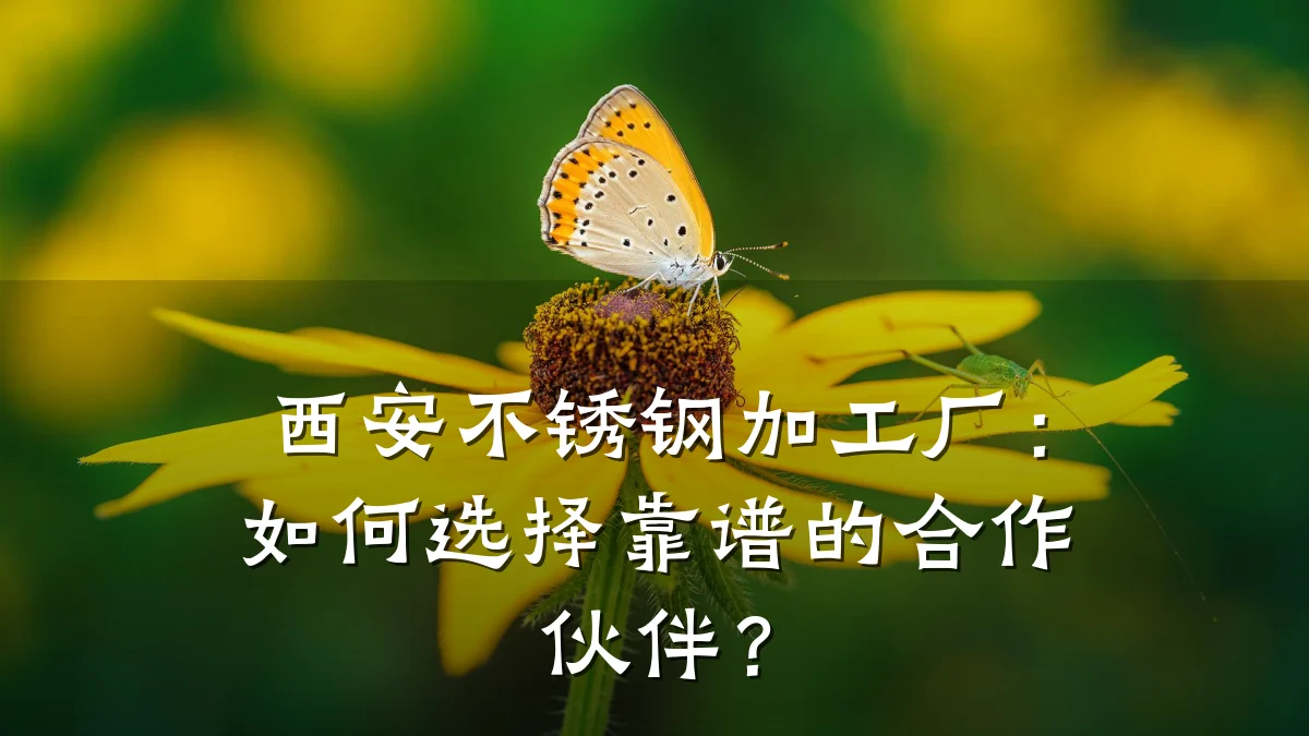 西安不锈钢加工厂:如何选择靠谱的合作伙伴?