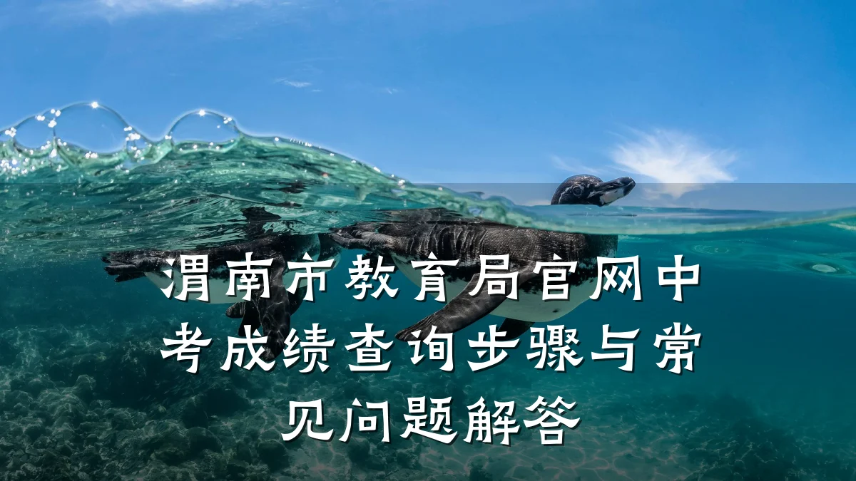 渭南市教育局官网中考成绩查询步骤与常见问题解答