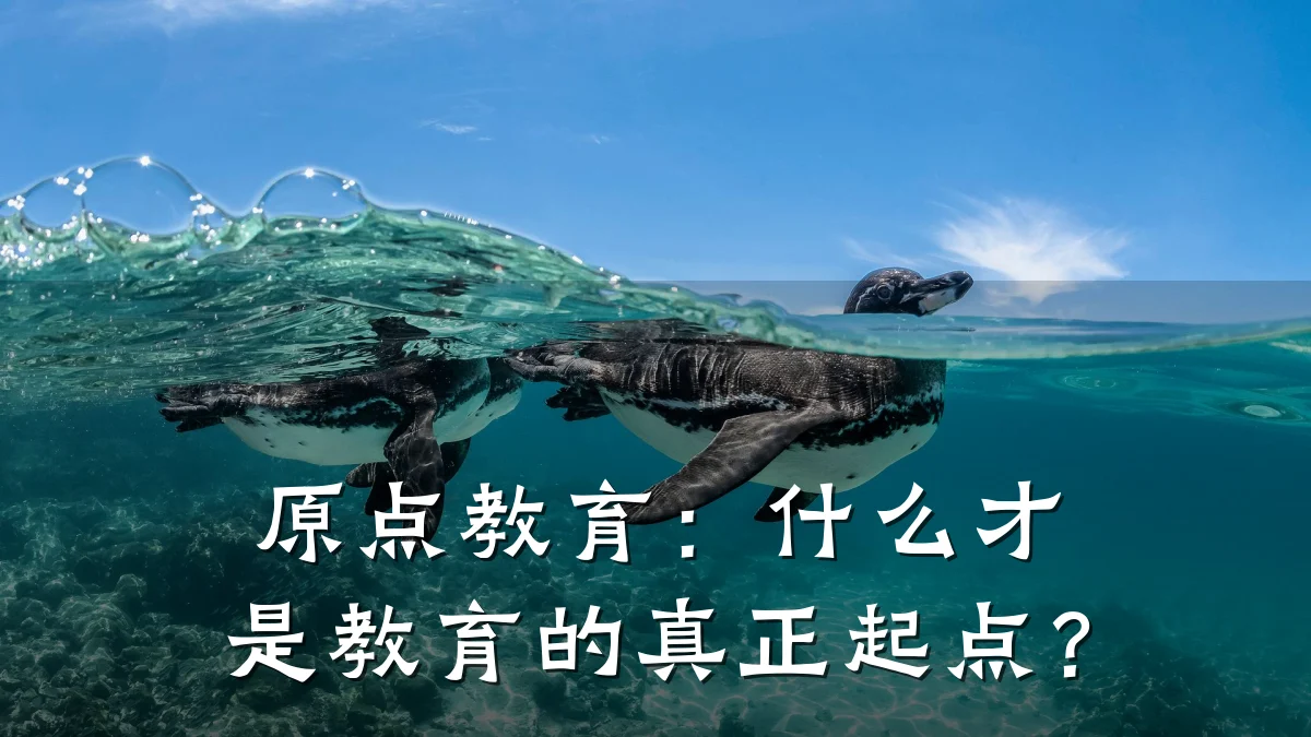 原点教育:什么才是教育的真正起点?