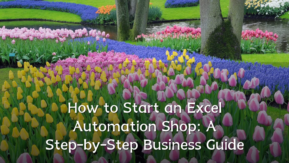 How to Start an Excel Automation Shop: A Step-by-Step Business Guide